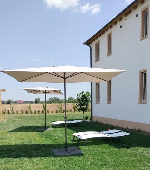 Garden, sunbed