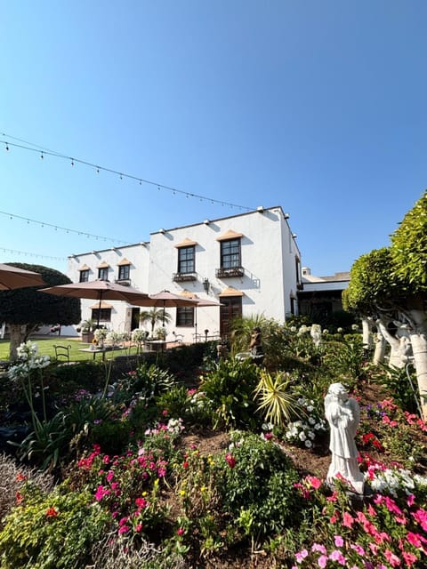 Facade/entrance, Garden, Garden view
