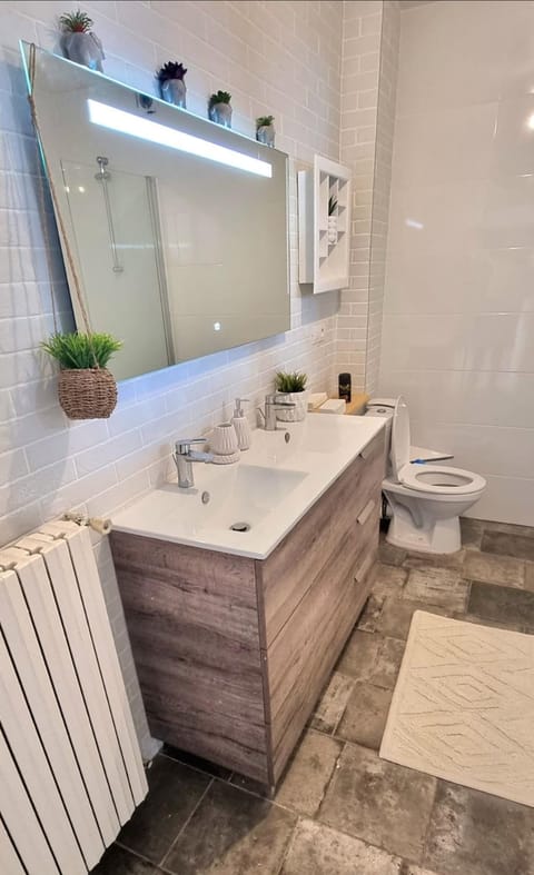 ! Magnifique Appartement De Caractère a Metz ! Apartment in Metz