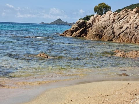 Beau Studio vue sur mer, route des sanguinaires Apartment in Ajaccio