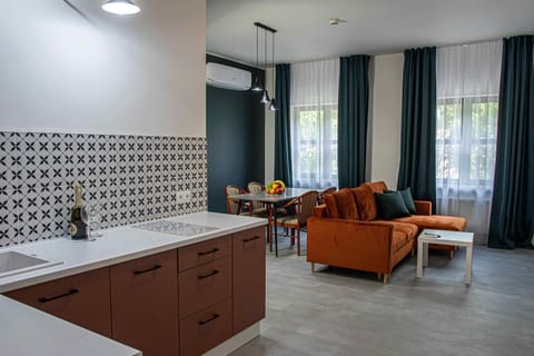 Kitchen or kitchenette, Living room, stove, air conditioner