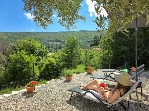 Patio, Day, Natural landscape, Garden, Mountain view, sunbed