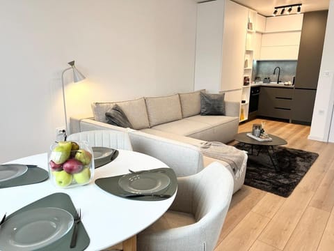 Kitchen or kitchenette, Living room, Seating area