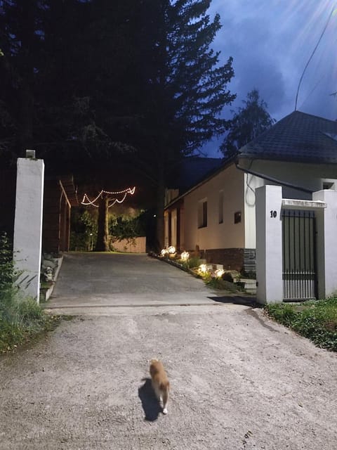 Property building, Street view