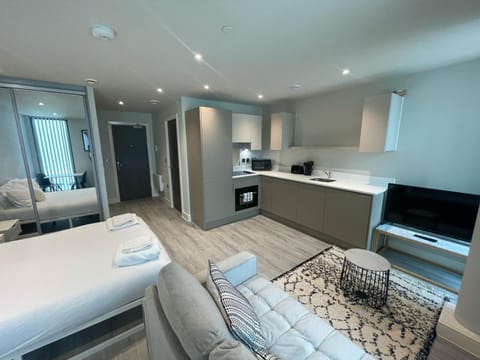 Bed, TV and multimedia, Kitchen or kitchenette, Living room, Photo of the whole room, Seating area, Bedroom, oven, stove