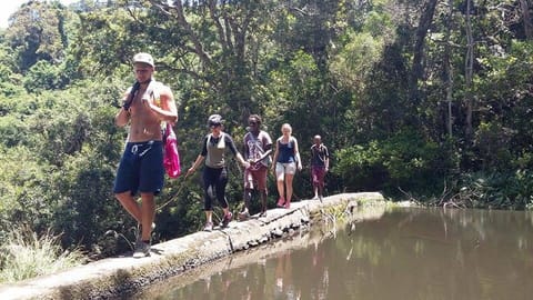 Staff, Activities, Hiking, group of guests