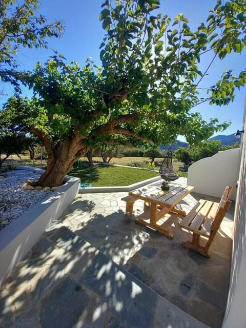Natural landscape, Garden, Garden view