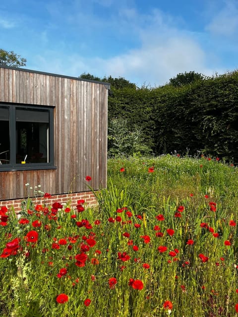 Property building, Garden, Garden view