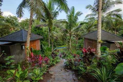 Property building, Natural landscape, Garden, View (from property/room), Garden view, Pool view