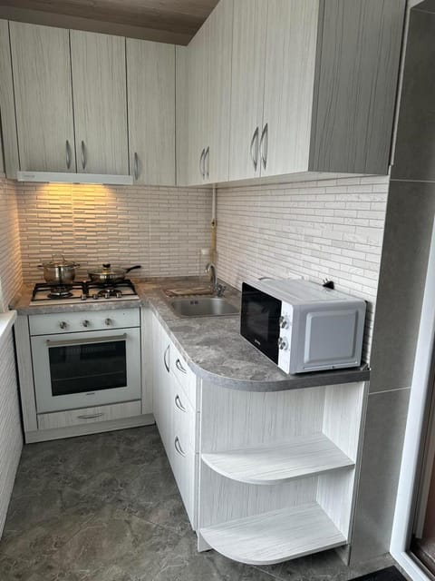Kitchen or kitchenette, oven, stove