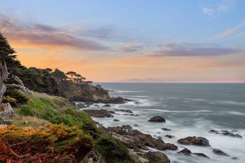 Entire Oceanfront Home Breathtaking 180 Views Near San Francisco House in Montara