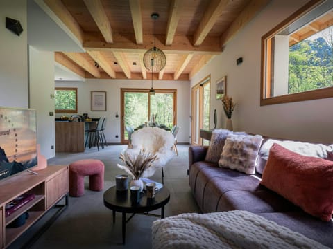 Winter, TV and multimedia, Living room, Seating area