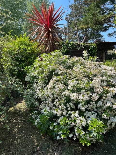 Le Grand Air House in Granville