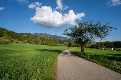 Natural landscape