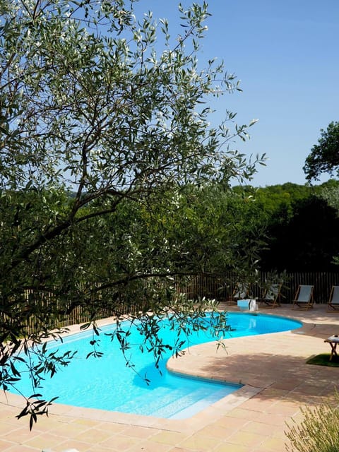 Spring, Garden, Garden view, Pool view, Swimming pool, sunbed