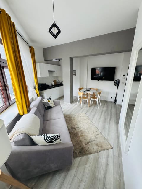 Bed, TV and multimedia, Kitchen or kitchenette, Living room, Photo of the whole room, Seating area