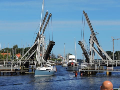 Natural landscape, Activities