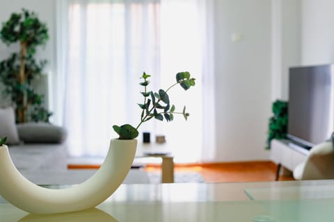 TV and multimedia, Living room, Decorative detail, Evening entertainment