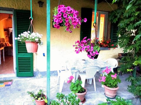 Property building, Patio, Spring, Day, Garden, Dining area, Garden view