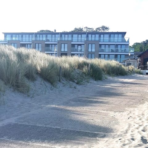 Property building, Beach, Beach