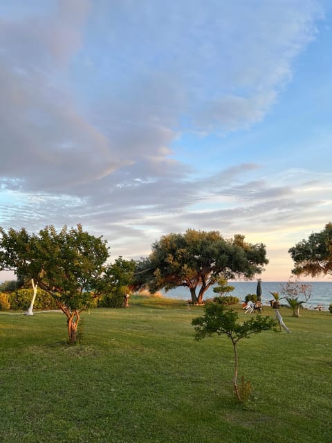 Nearby landmark, Spring, Day, Natural landscape, Garden, Garden view, Sea view