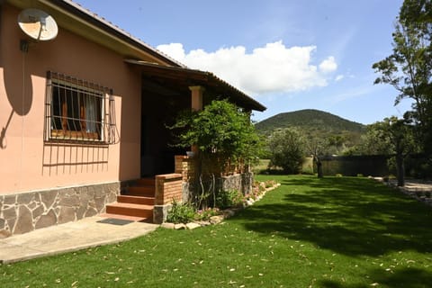 Patio, Garden, Garden view