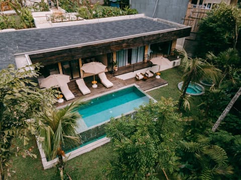 Property building, Garden, Swimming pool, sunbed