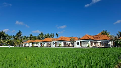Property building, Natural landscape