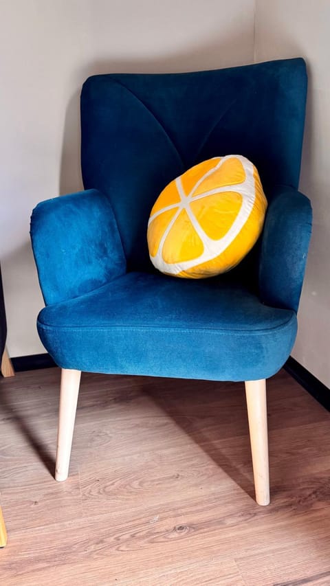 Domcio Paluch House in Lithuania