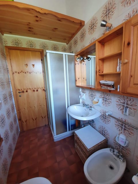 Shower, Toilet, Bathroom, bidet