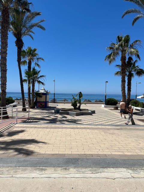 Garden, Beach