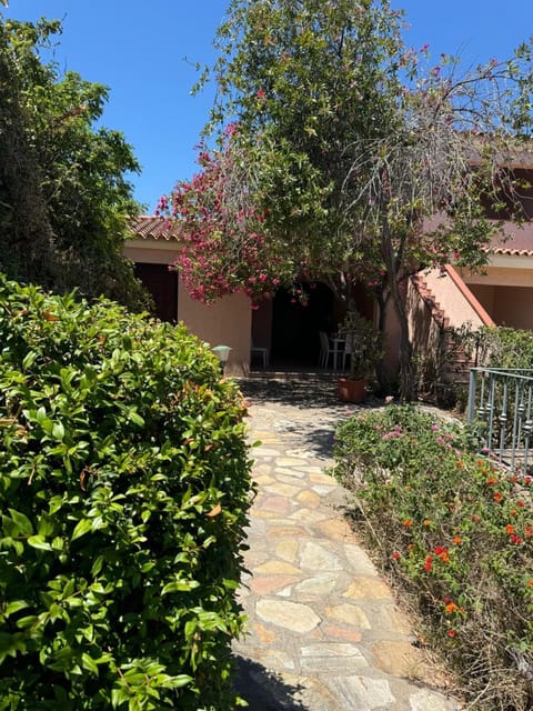 Property building, Garden view