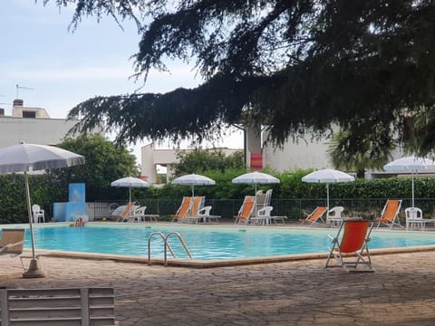 Day, Pool view, Swimming pool, sunbed