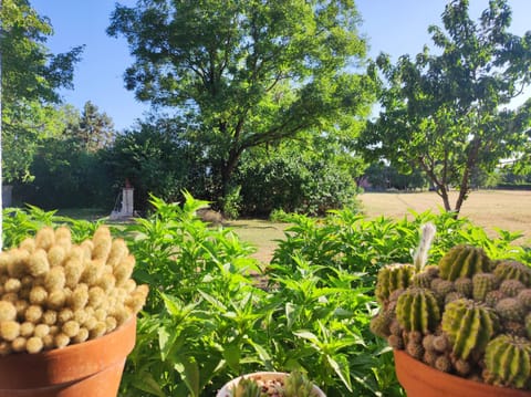 Old house Apartment in Montenegro