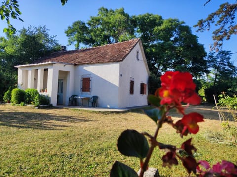 Old house Apartment in Montenegro