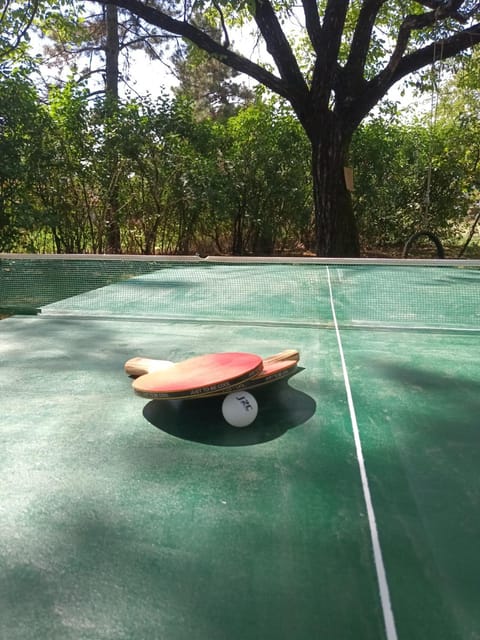 Old house Apartment in Montenegro