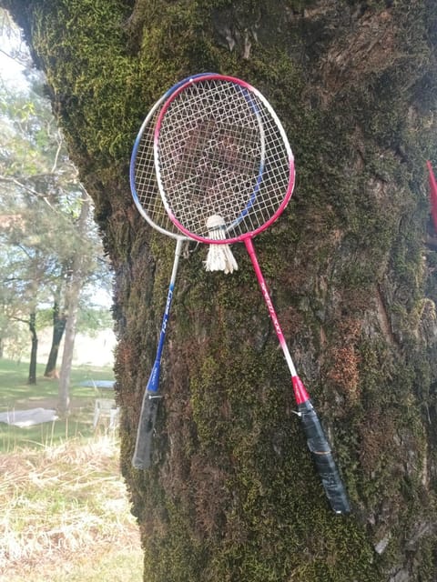 Old house Apartment in Montenegro