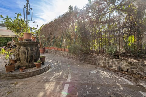 Spring, Day, Garden, Garden view