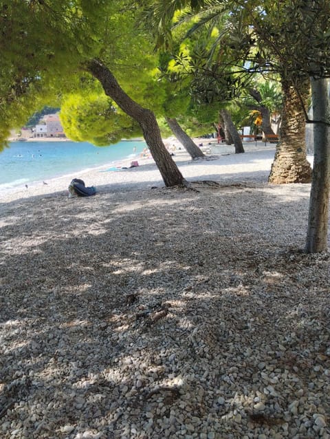 Spring, Day, Beach, Sea view