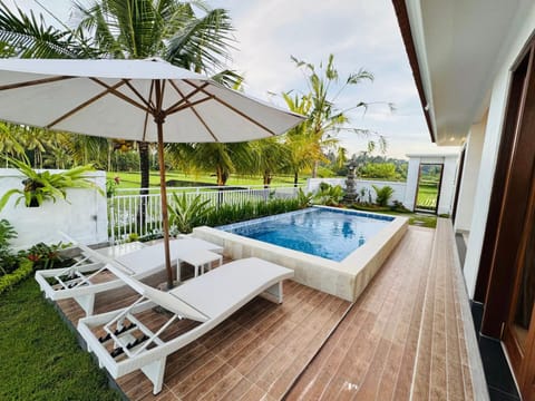 Natural landscape, Garden, Garden view, Swimming pool