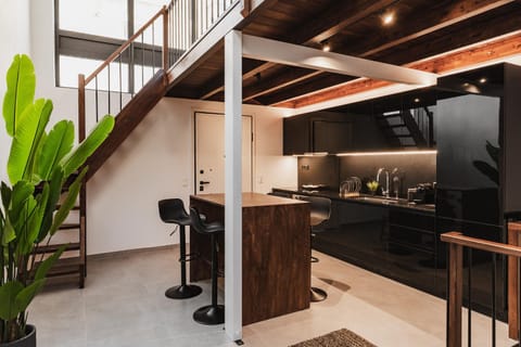 Ella Luxury Suites Apartment in Athens