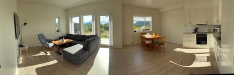 Living room, kitchen