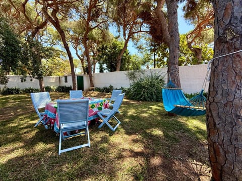 Day, Natural landscape, Garden, Garden view, sunbed