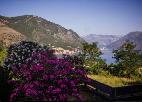 Holiday 1 Apartment in Dobrota