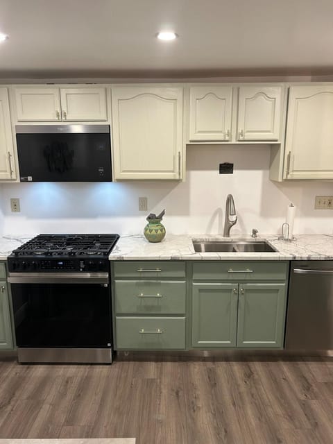 Kitchen or kitchenette, dishwasher, stove