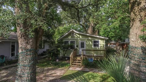 Property building, Spring, Day, Garden