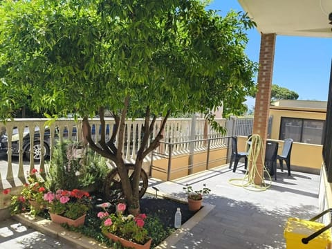 Casa Rosy Apartment in Tarquinia