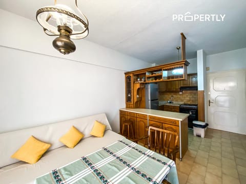 Kitchen or kitchenette, Photo of the whole room