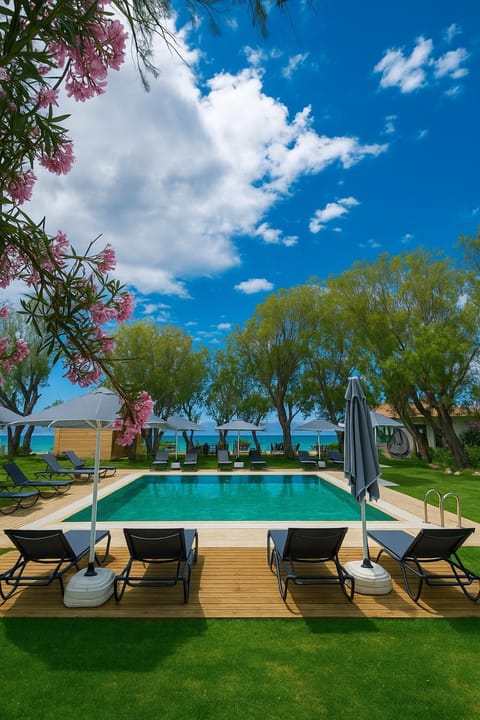 Garden, Garden view, Pool view, Swimming pool, sunbed