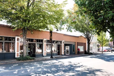 Rooftop Studio House in McMinnville